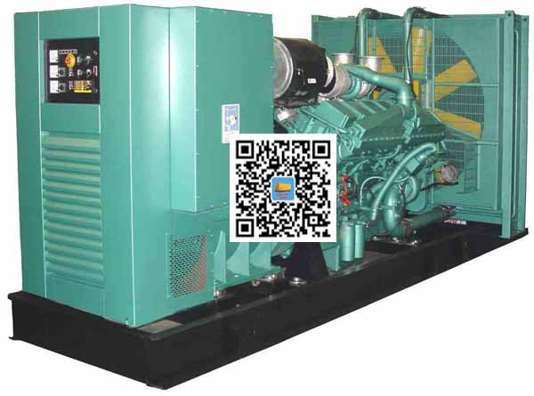 巴宜笼型异步发电机的电力电子控制技术